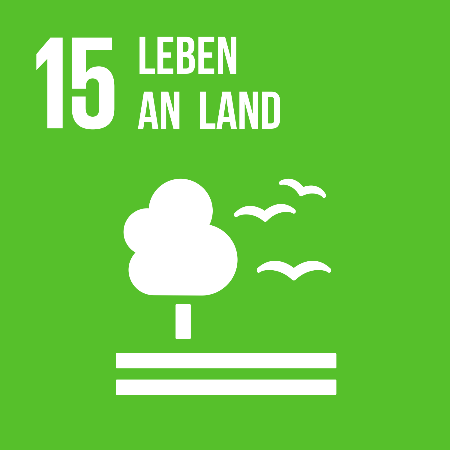 SDG 15: Leben an Land
