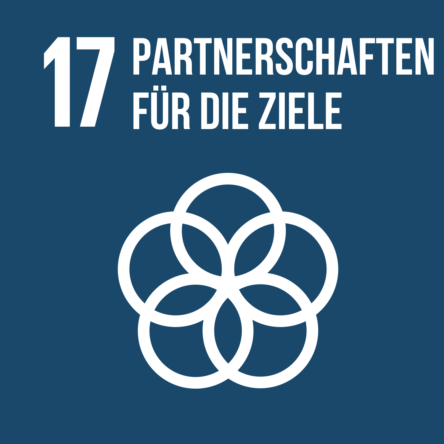 SDG 17: Partnerschaften